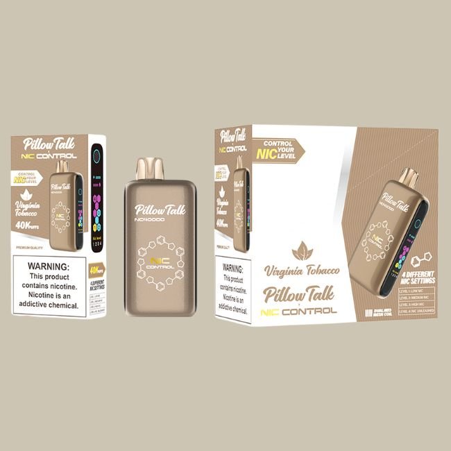 PILLOW TALK NIC CONTROL 5% DISPOSABLE (100ML) 40K PUFFS - SIMPLE MINT