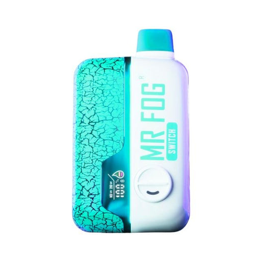 MR FOG SWITCH 5% DISPOSABLE (85ML) 15K PUFFS - CLASSIC MINT ICE SWP08