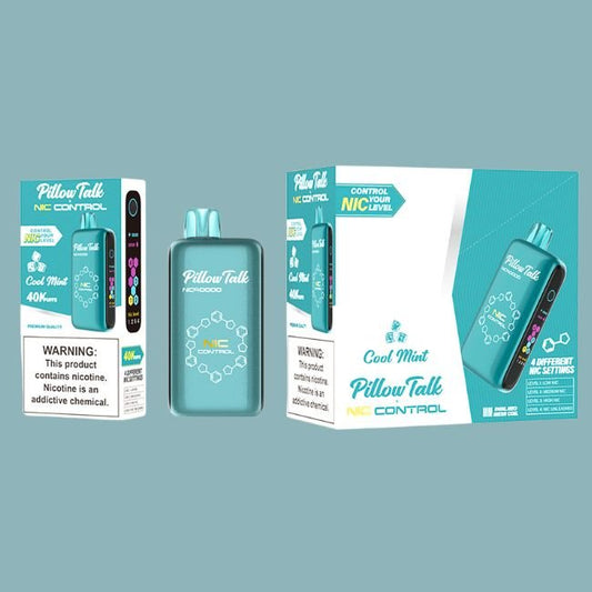 PILLOW TALK NIC CONTROL 5% DISPOSABLE (100ML) 40K PUFFS - COOL MINT