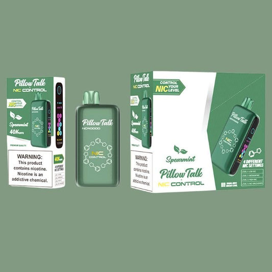 PILLOW TALK NIC CONTROL 5% DISPOSABLE (100ML) 40K PUFFS - SPEARMINT